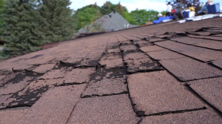  Glenwood, AR Roofing Service Pros
