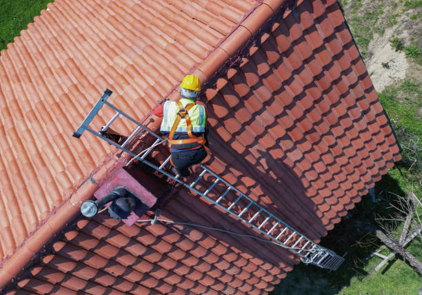 Best Roof Ventilation Installation  in Glenwood, AR