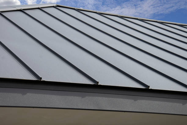 Best Skylight Installation and Repair  in Glenwood, AR